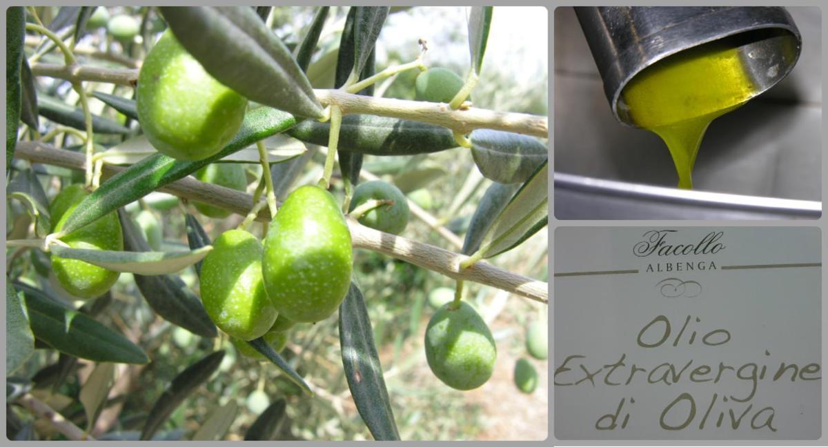 Casa Leuca Albenga Διαμέρισμα Εξωτερικό φωτογραφία